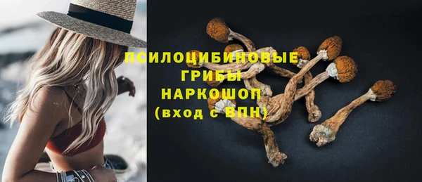 прущий лед Каменка