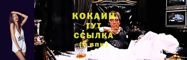 прущий лед Каменка