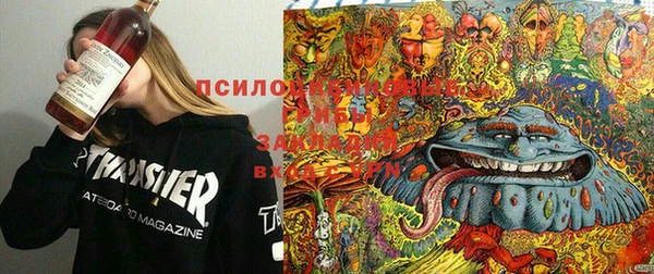 прущий лед Каменка
