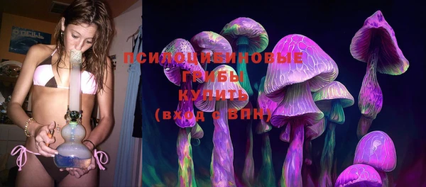 Альфа ПВП Каменногорск