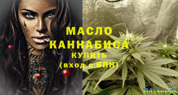 прущий лед Каменка