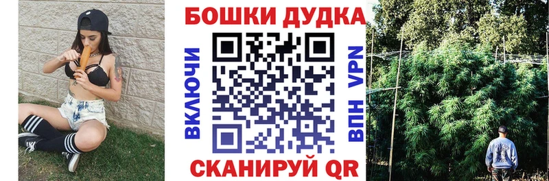 Канабис семена  Кингисепп 